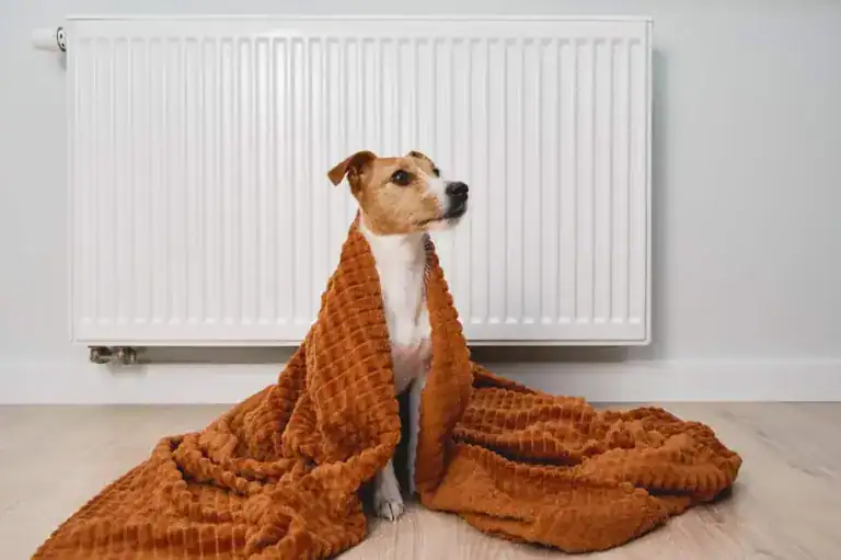 Heating Oil vs. Natural Gas: The Only Comparison That Counts