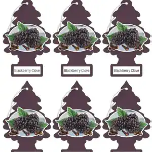 Little Trees Car Air Freshner Blackberry Cove – 6 Pack