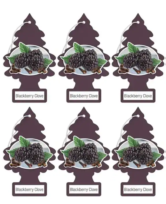 Little Trees Car Air Freshner Blackberry Cove - 6 Pack